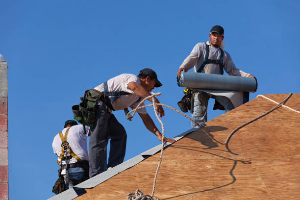 Best Flat Roof Repair Services  in Haines, AK