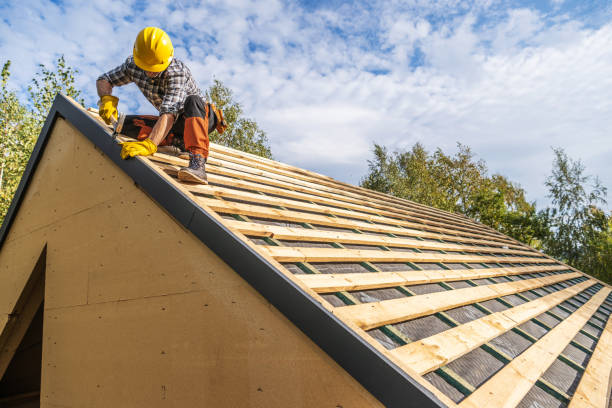 Best New Roof Installation  in Haines, AK