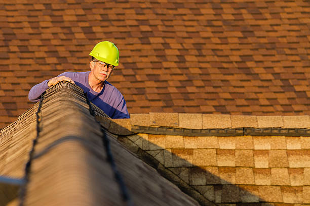 Best Residential Roofing Contractor  in Haines, AK